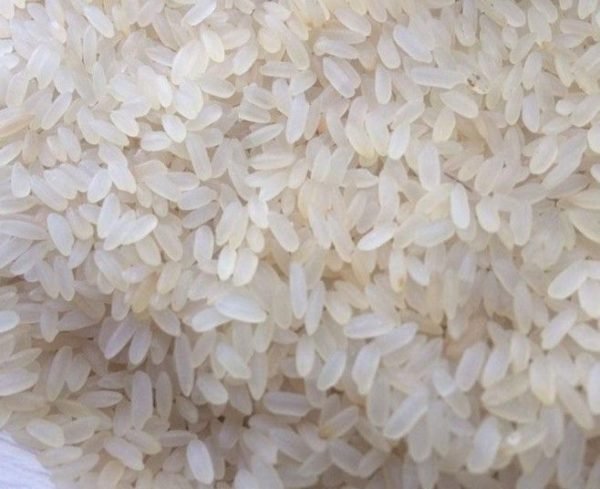 swarna white raw rice